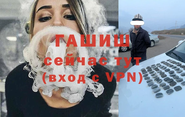 индика Дмитров